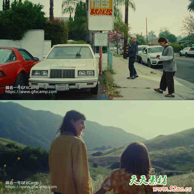 电影胶片质感LUTs+达芬奇PowerGrades节点视频调色预设 FilmVision V2 + 中文字幕视频教程-天天素材网