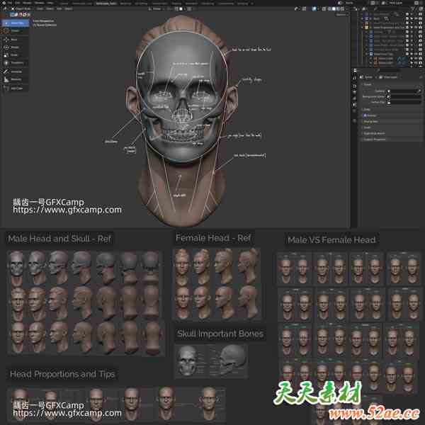 Blender人物头部肌肉骨骼3D建模雕刻大师高级教程V1.3 中文/英文字幕-天天素材网