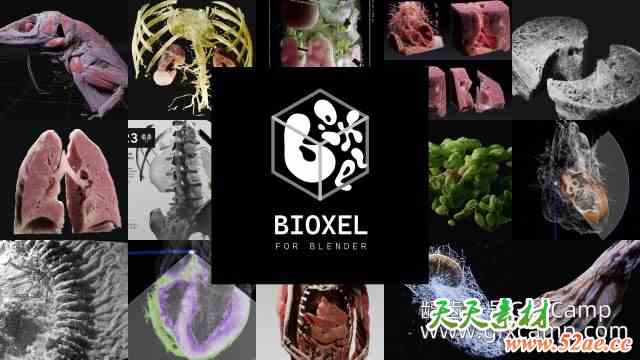 Blender科学体数据可视化渲染插件 Bioxel Nodes v2.0.0-天天素材网