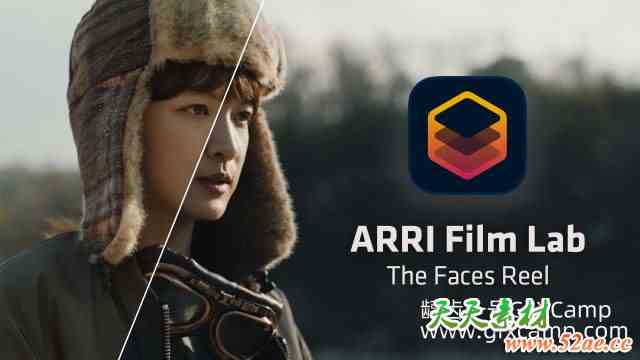 达芬奇胶片模拟视频调色插件 REVisionFX ARRI Film Lab V1.0.10 Win破解版-天天素材网