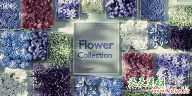 Blender 20组低多边形花朵3D模型 Flowers Collection-天天素材网