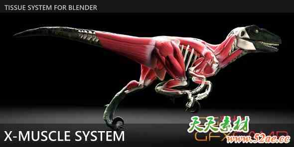 Blender肌肉系统模拟插件 X-Muscle System 4.9.7-天天素材网