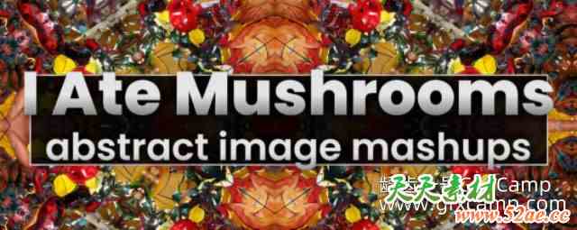 AE幻觉图形图片视频变换插件 Aescripts I Ate Mushrooms V1.8.46 Win/Mac破解版-天天素材网