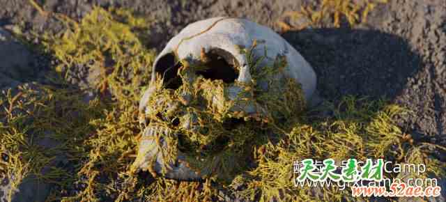 Blender程序化真菌生成器资产预设 Procedural Fungus Growth V1.0-天天素材网