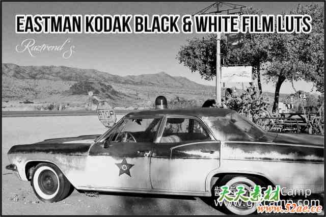 柯达胶片黑白质感视频调色预设 Eastman Kodak Black and White Film LUTs-天天素材网