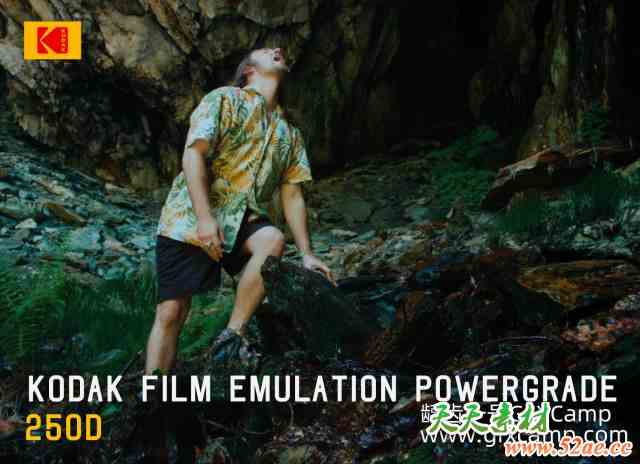 达芬奇柯达胶片模拟视频调色节点 FilterGrade – Davinci Resolve Kodak film Emulation Powergrade-天天素材网