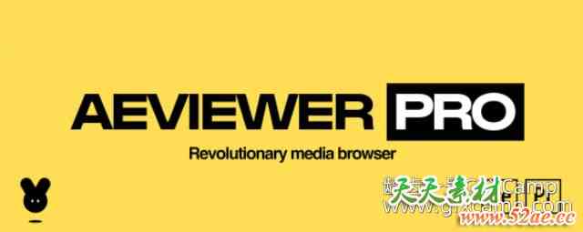 AE/PR工程素材预览整理导入脚本 Aescripts AEViewer 2 Pro V2.2.3破解版-天天素材网