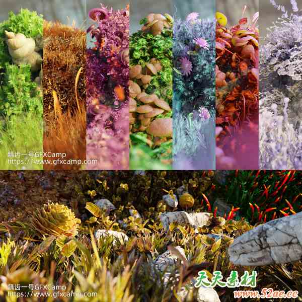 Blender苔藓场景奇幻微观模型生成器资产预设库 Mossify-天天素材网